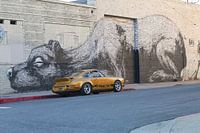 Eric Williams Porsche 911 RS clone