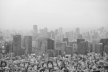 Tokyo Layers - Monochromes Stadtbild im Dunst