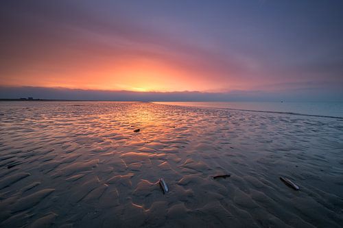 A golden glow!