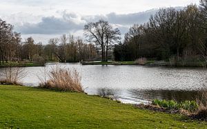 Fischteich