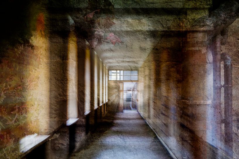 Klarheit ist angesagt von Caroline Boogaard