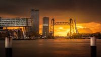 Rotterdam Iconen