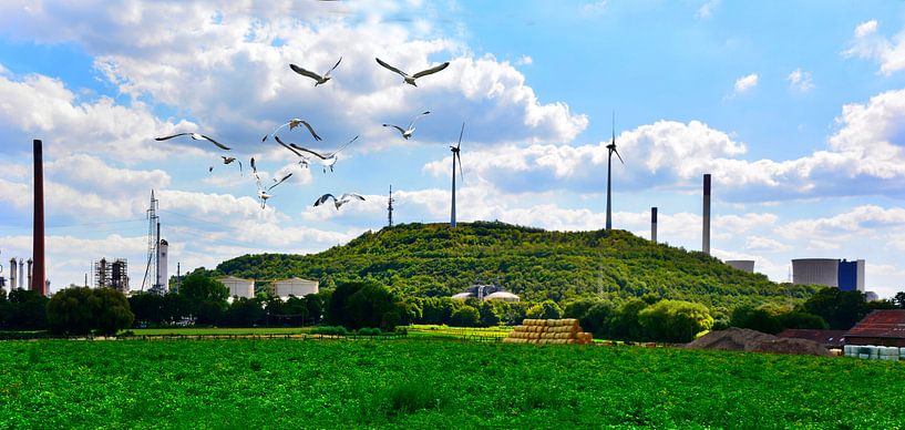 Scholven 3 van Edgar Schermaul