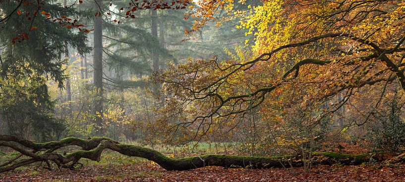 Guarding the fallen by P Leydekkers - van Impelen