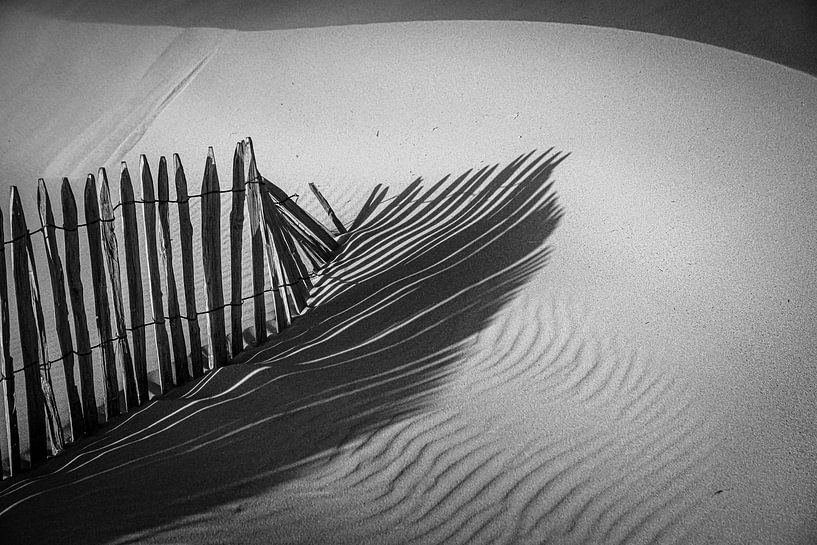 sun, shade and wind by the sea by Dirk van Egmond