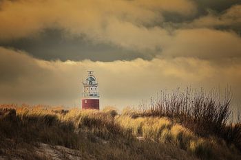Leuchtturm auf den Insel Texel