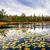 Freulevijver in de Herfst Wijnjewoude van R Smallenbroek