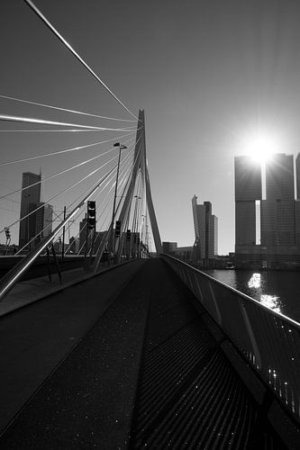 Erasmus brug Rotterdam in zwart wit