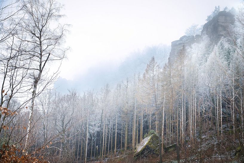 Zschirnstein met besneeuwde bomen en mist op de top van Martin Köbsch