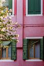 Venice Italy | Colorful houses from Venice | Travel photography by Tine Depré thumbnail