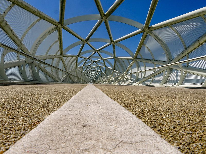 Symmetry by Thomas Hofman