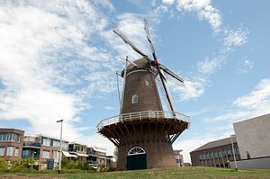 Walmolen sur Richard Wareham