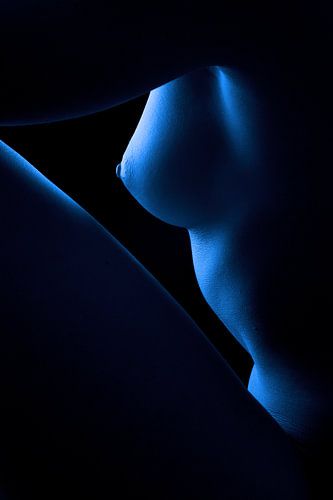 Erotisch vrouwelijk naakt in blauw