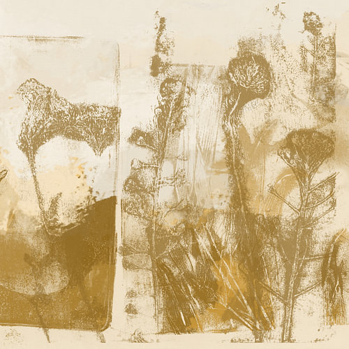 Ockerfarbene Blüten auf weißem und gelbem Hintergrund. Moderne botanische Kunst von Dina Dankers