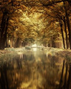 Reflexion