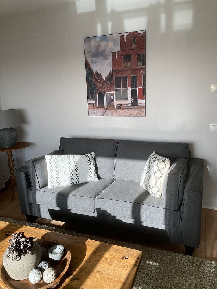 The street, Johannes Vermeer 