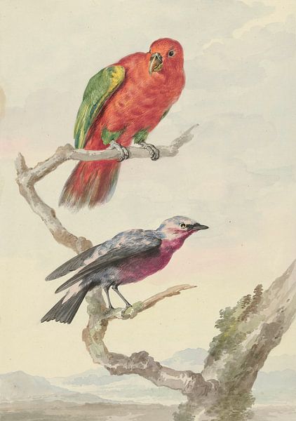 Two birds, including a red-green parrot, Aert Schouman by Masterful Masters