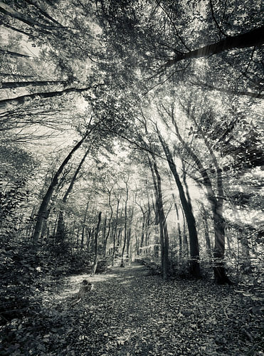Herbstspaziergang