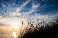 vanuit de duinen