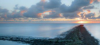 waddenzee