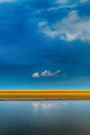 Vliehors - Vlieland von Jan Bensliman