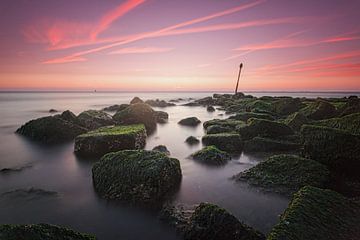 Scheveningen Sunset by Tom Roeleveld