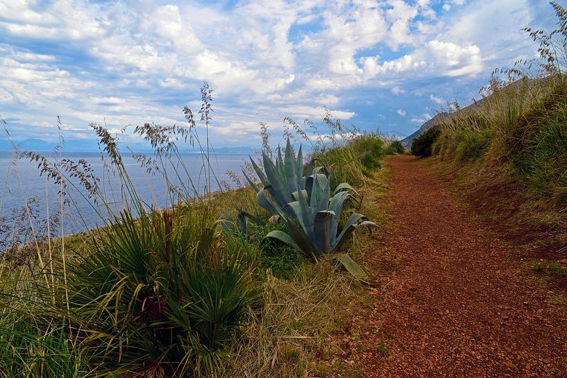 Magisches Naturreservat Lo Zingaro  von Silva Wischeropp