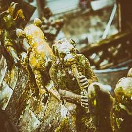 The aerial images of St. John's Cathedral in 's-Hertogenbosch, by Marcel Bakker