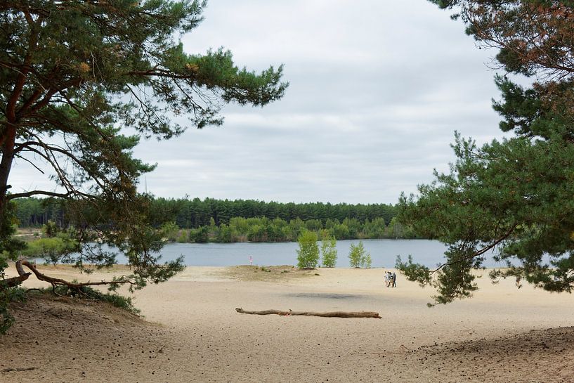 Lommel Sahara par Brian Bonckaert Fotografie