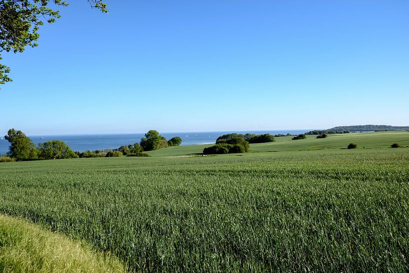 Groß Stresow Nähe Putbus, Rügen von GH Foto & Artdesign