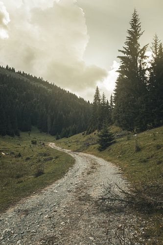 pad in de heuvels van Rugova, Kosovo in het prachtige zonlicht