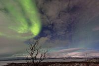 Een sluier van licht over Abisko - De dans van de stilte
