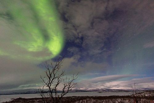 A veil of light over Abisko - The dance of silence