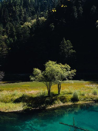 Turquoise meer in Jiuzhaigou in China