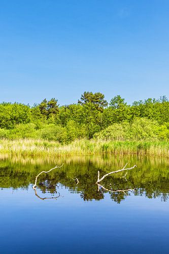 Prerowstrom in the Baltic seaside resort of Prerow on Fischland-Darß by Rico Ködder
