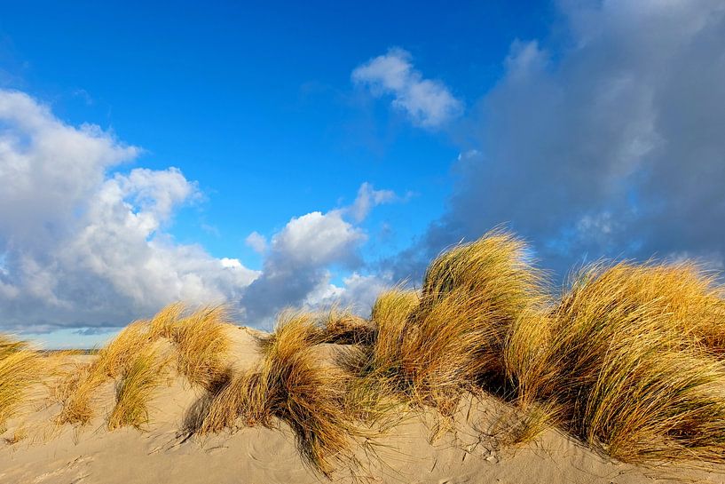 Dunes by Ostsee Bilder