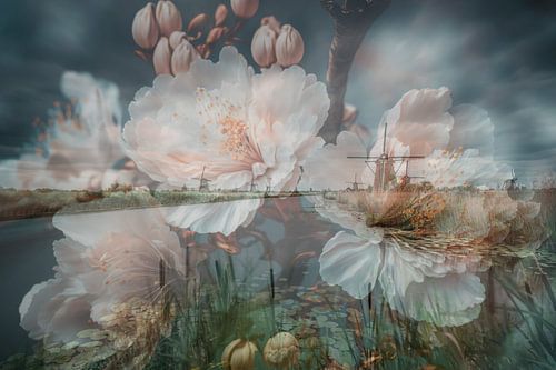 Kinderdijk Versteckt in der Blüte