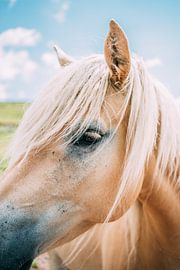 Eyelashes at 1600m by Eloise Mavian