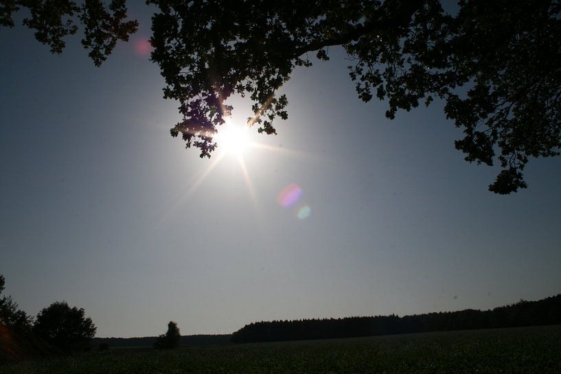 zon in het open veld von Thom Van Rhee