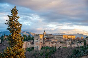 Alhambra in Granada, Spain van Jan Fritz