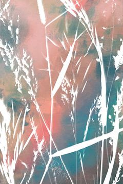 Cyanotype gecombineerd met aan pastelkleurige, abstracte achtergrond van Studio Allee