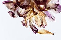 Bouquet - The fingerprint of leaves