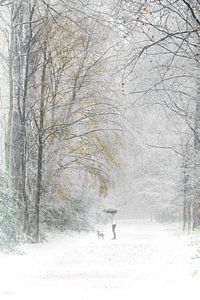 Winter in het bos