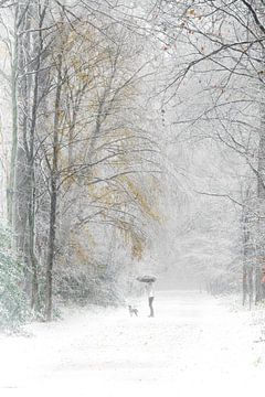 L'hiver dans la forêt sur Ingrid Van Damme fotografie