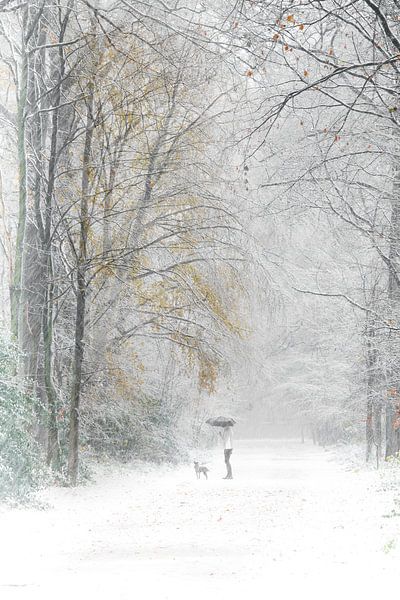 Winter in het bos van Ingrid Van Damme fotografie