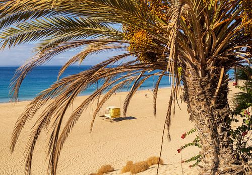 Playa del Matorral, Morro Jable, Fuerteventura
