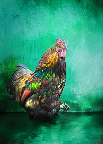 Kleurrijke Cochin Haan met een rebelse kuif van ArtWorks Saranda in t Veld