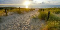 Zon en zee aan het strand van Dirk van Egmond thumbnail