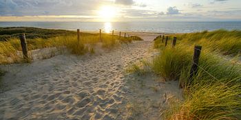 Zon en zee aan het strand