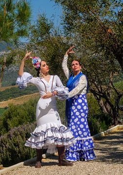 Flamenco with 2